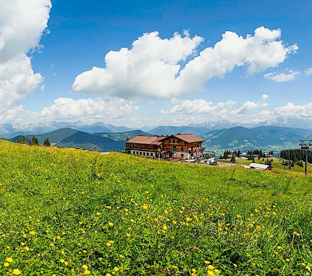 Gasthof Jandlalm Flachau Extérieur photo